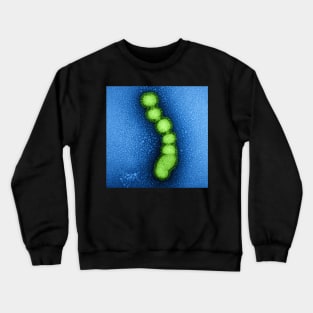 Swine Flu Virus, Influenza TEM Micrograph, Blue and Green Crewneck Sweatshirt